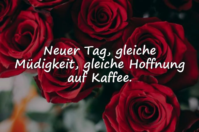 Bilder mit guten morgen sprüche lustig - 1