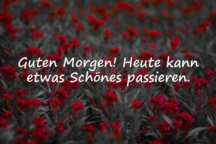 Bilder mit guten morgengrüsse - 11