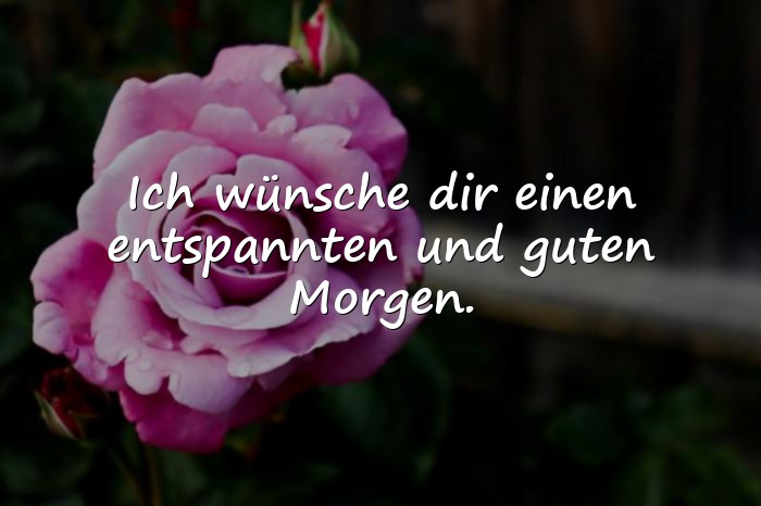 Bilder mit guten morgengrüsse - 6