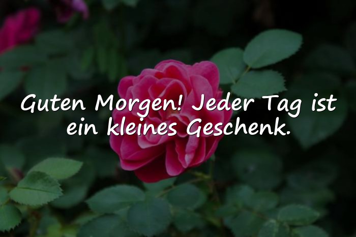 Bilder mit guten morgengrüsse - 1