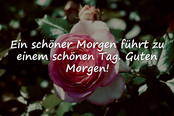 Bilder mit guten morgengrüsse - 21
