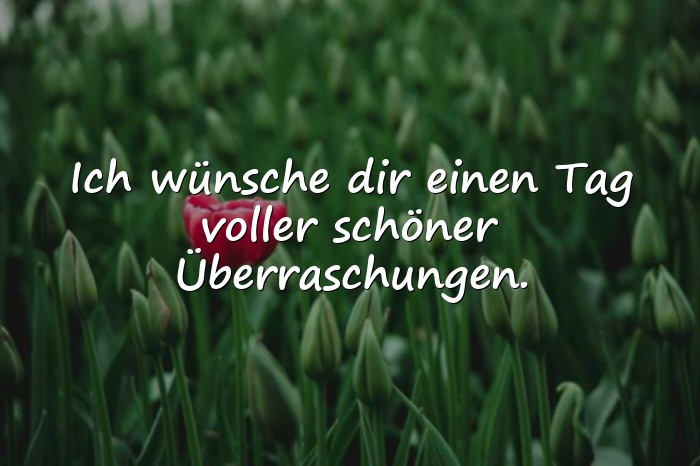 Bilder mit guten morgengrüsse - 11