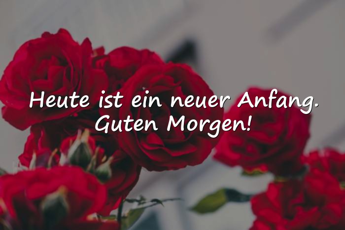 Bilder mit guten morgengrüsse - 6