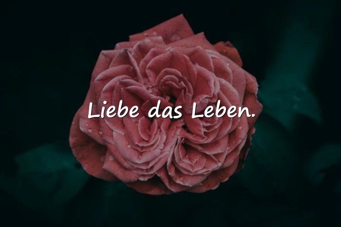 Bilder mit handlettering sprüche - 8