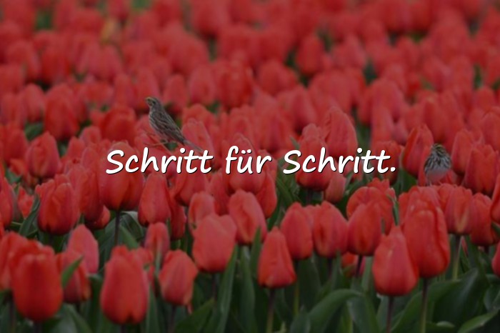 Bilder mit handlettering sprüche - 3