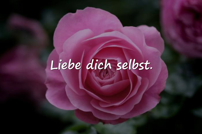 Bilder mit handlettering sprüche - 1