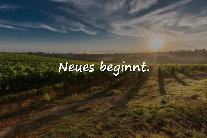 Bilder mit handlettering sprüche - 21