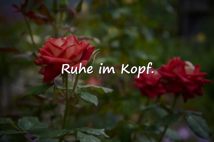 Bilder mit handlettering sprüche - 15