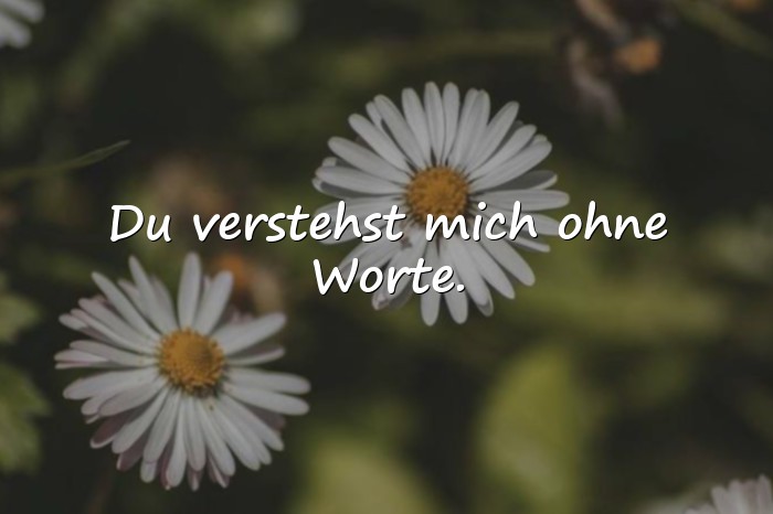 Bilder mit handlettering sprüche - 11