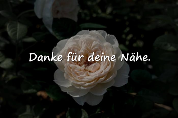 Bilder mit handlettering sprüche - 5