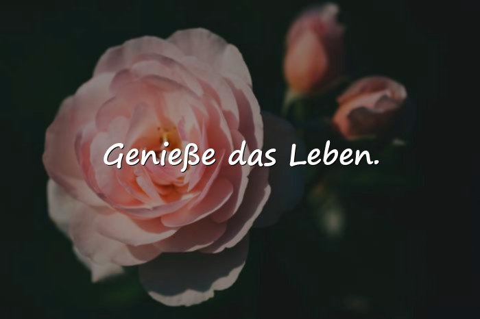 Bilder mit handlettering sprüche - 14