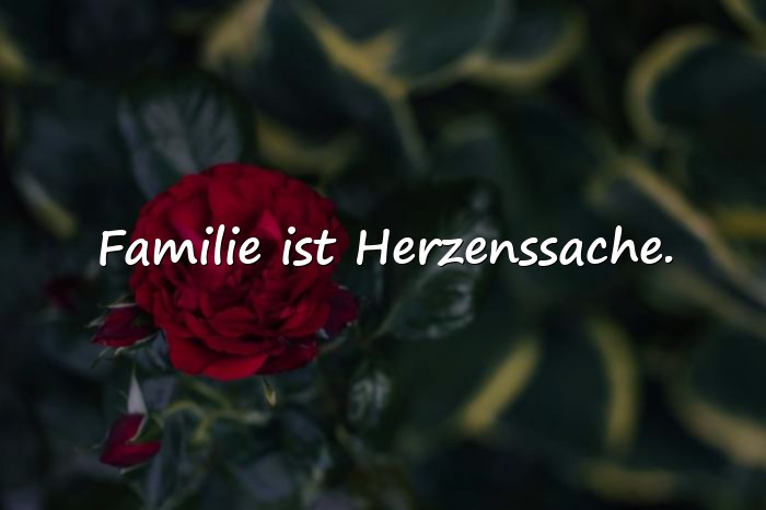 Bilder mit herz sprüche familie - 11