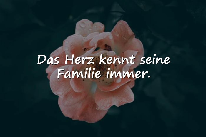 Bilder mit herz sprüche familie - 6