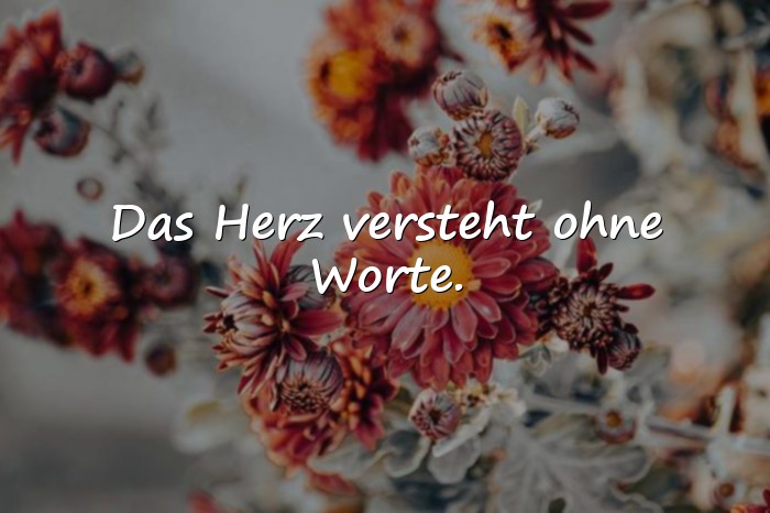 Bilder mit herzenssprüche - 6