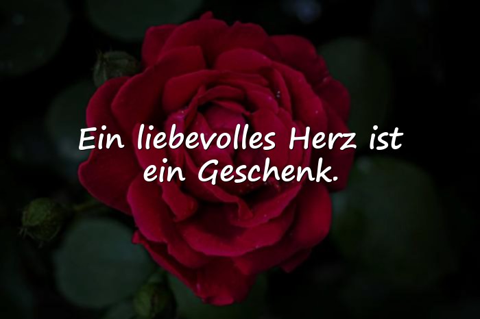 Bilder mit herzenssprüche - 1
