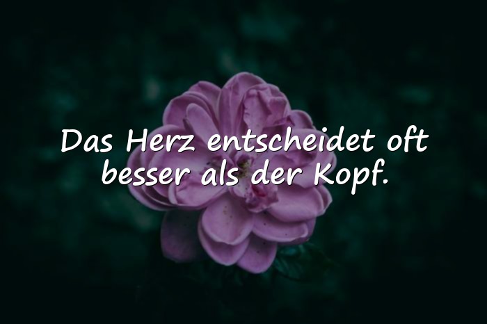 Bilder mit herzenssprüche - 21