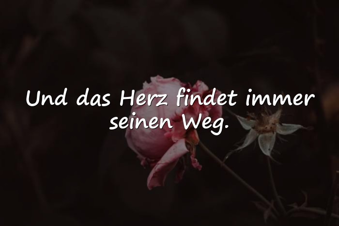 Bilder mit herzenssprüche - 1