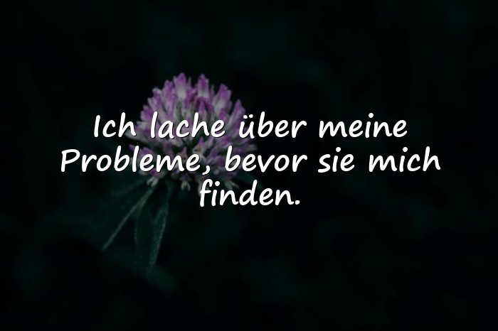 Bilder mit humor sprüche - 21