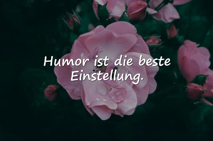 Bilder mit humor sprüche - 11