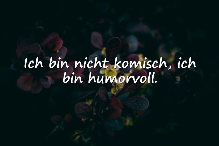 Bilder mit humor sprüche - 6
