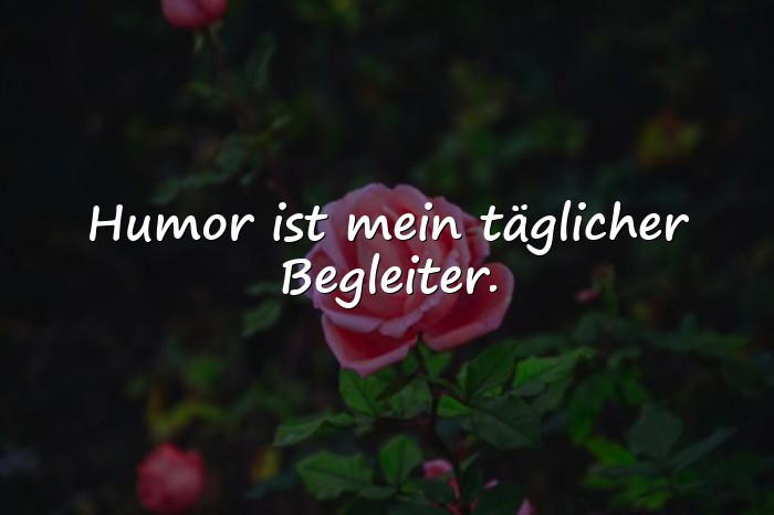 Bilder mit humor sprüche - 21