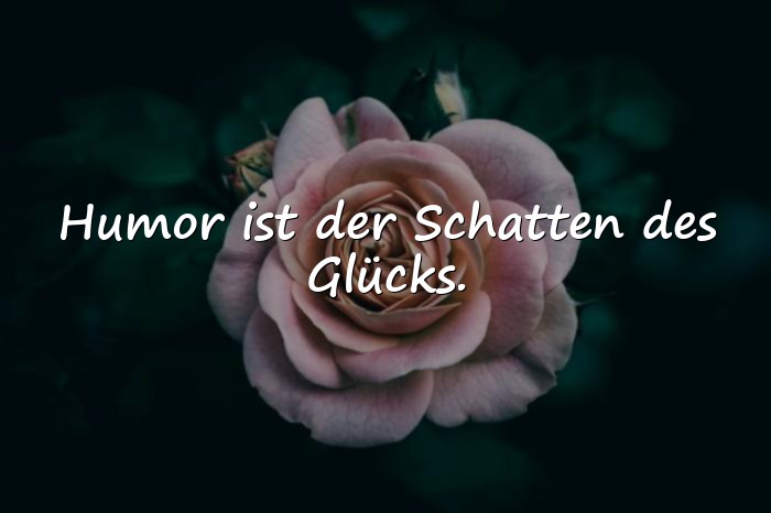 Bilder mit humor sprüche - 16
