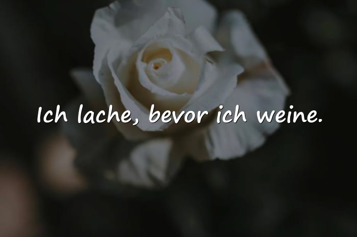 Bilder mit humor sprüche - 11