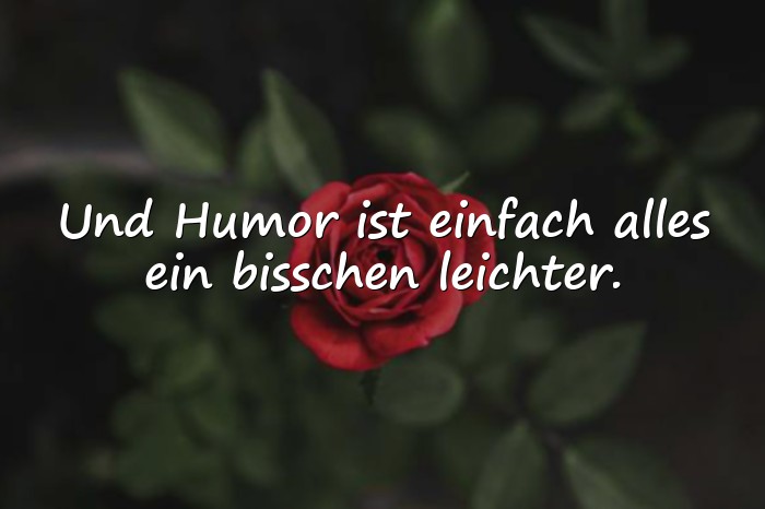 Bilder mit humor sprüche - 1