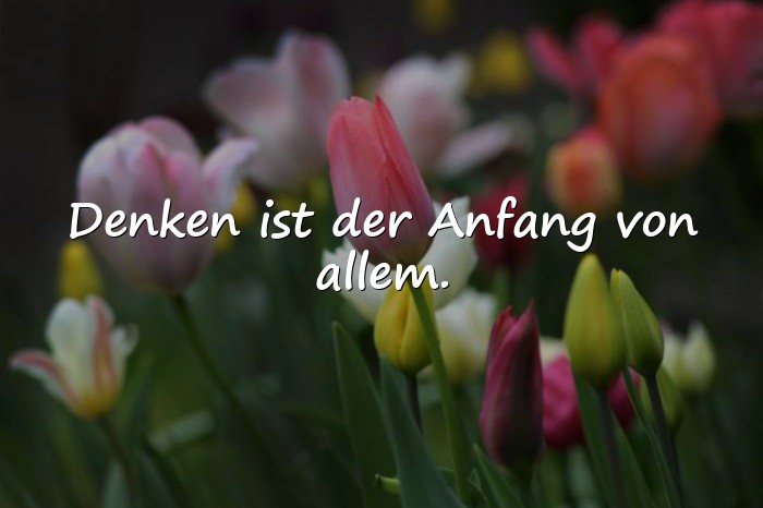 Bilder mit intelligente sprüche - 19