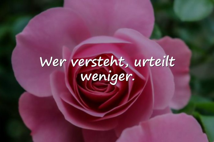 Bilder mit intelligente sprüche - 14
