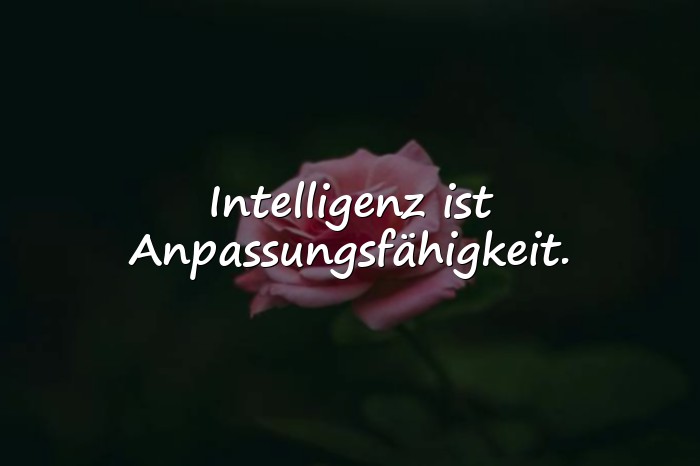 Bilder mit intelligente sprüche - 9