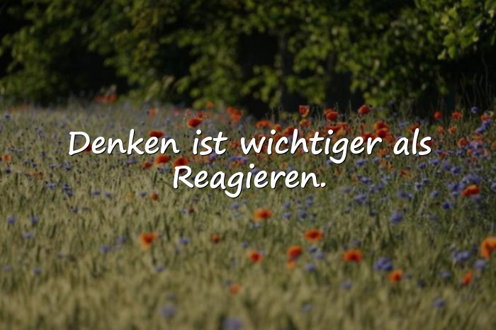 Bilder mit intelligente sprüche - 25