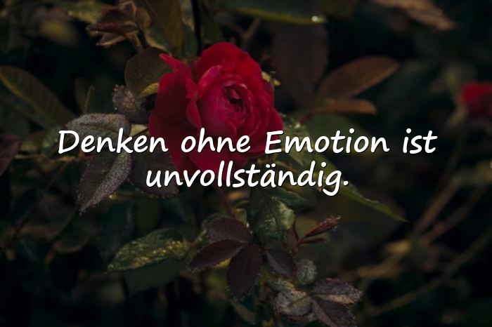 Bilder mit intelligente sprüche - 11