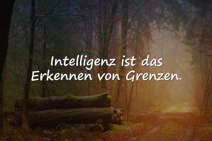 Bilder mit intelligente sprüche - 6