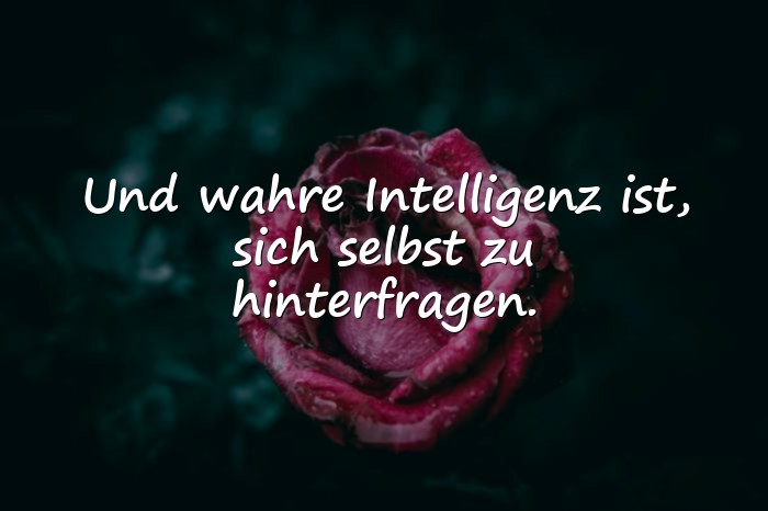 Bilder mit intelligente sprüche - 1