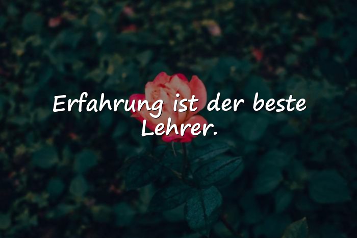 Bilder mit kluge sprüche - 6