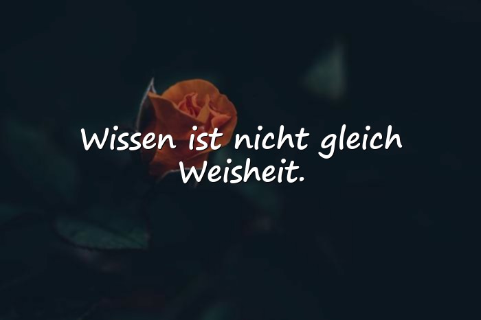 Bilder mit kluge sprüche - 1