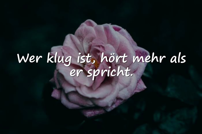 Bilder mit kluge sprüche - 23