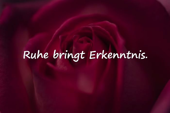 Bilder mit kluge sprüche - 19
