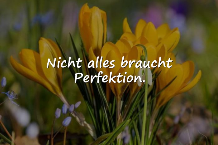 Bilder mit kluge sprüche - 9