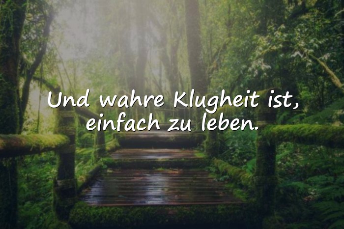 Bilder mit kluge sprüche - 1