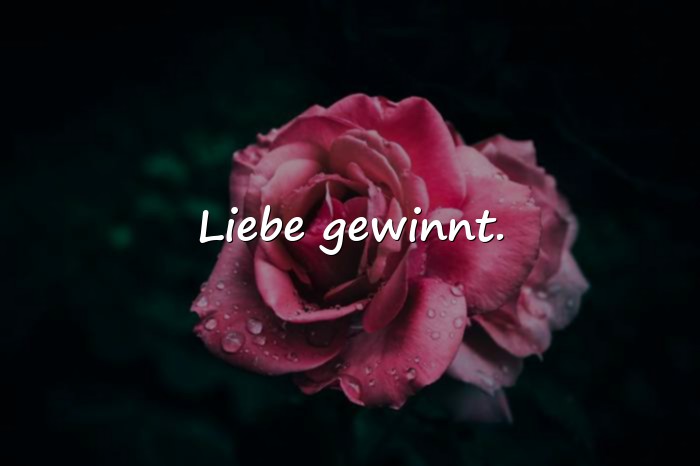 Bilder mit kurze schöne sprüche - 21