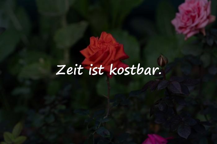 Bilder mit kurze schöne sprüche - 19