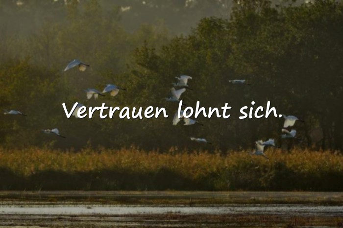 Bilder mit kurze schöne sprüche - 15