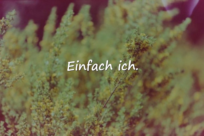 Bilder mit kurze schöne sprüche - 11