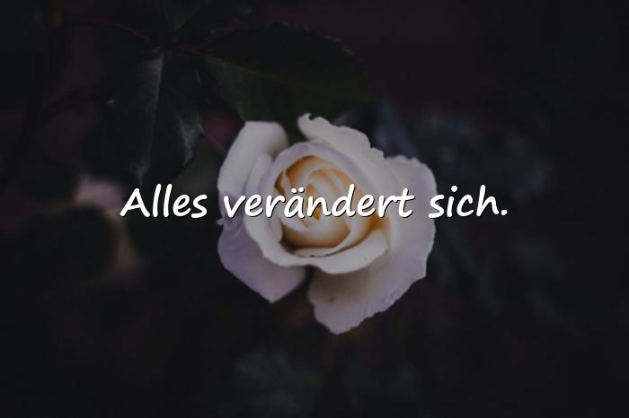 Bilder mit kurze schöne sprüche - 9