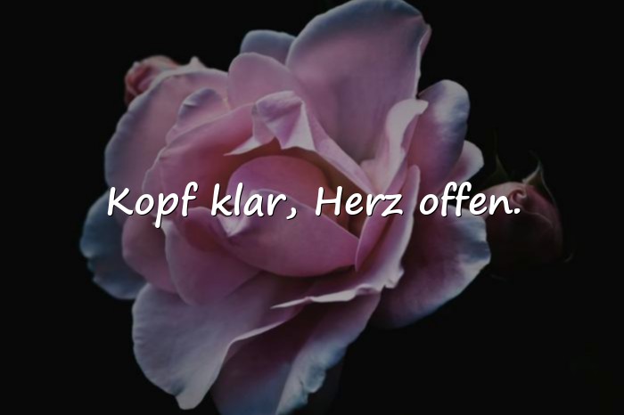Bilder mit kurze schöne sprüche - 6
