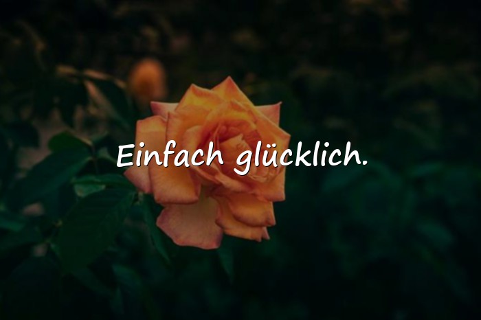 Bilder mit kurze schöne sprüche - 23