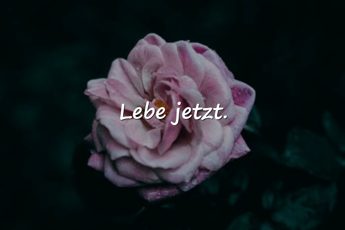 Bilder mit kurze sprüche - 3