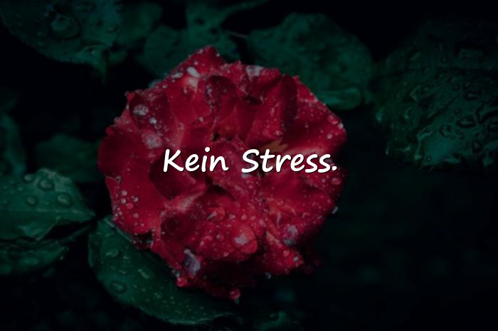 Bilder mit kurze sprüche - 17